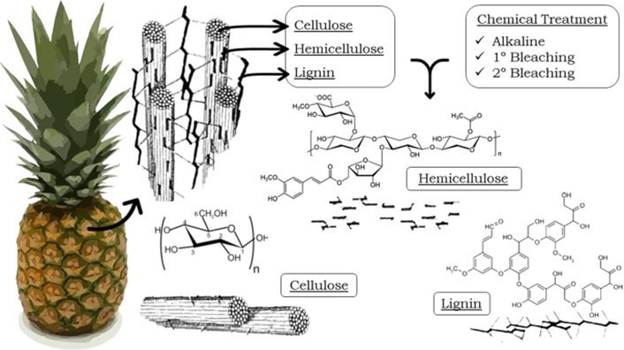 Pineapple Chemical Treatment Diagram